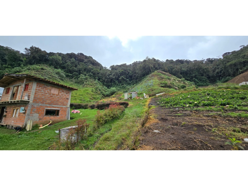 Finca ubicada en el municipio del Carmen de Viboral, Antioquia — foto 4