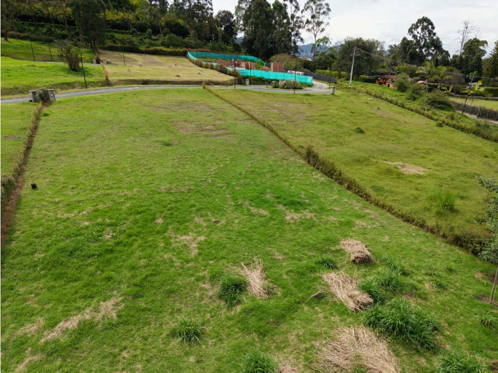 Lote ubicado en el municipio de La Ceja, Antioquia. — foto 2