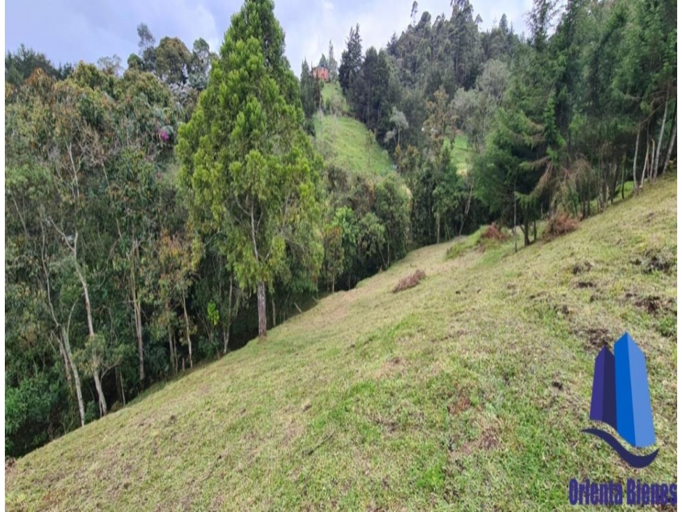 Vendo lote ubicado en el municipio de El Retiro Antioquia. — foto 5