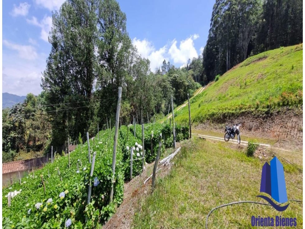 Lote ubicado en el Municipio de La Ceja Antioquia. — foto 5