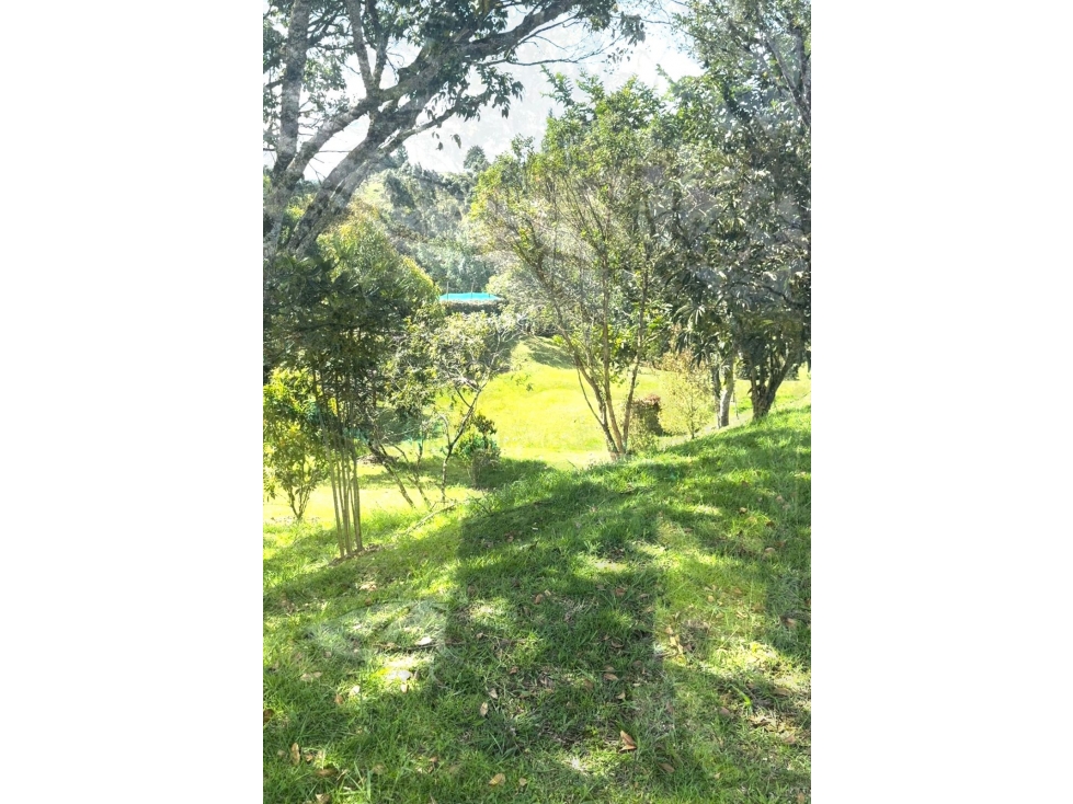 Lote ubicado en el municipio de El Carmen de Viboral Antioquia. — foto 5
