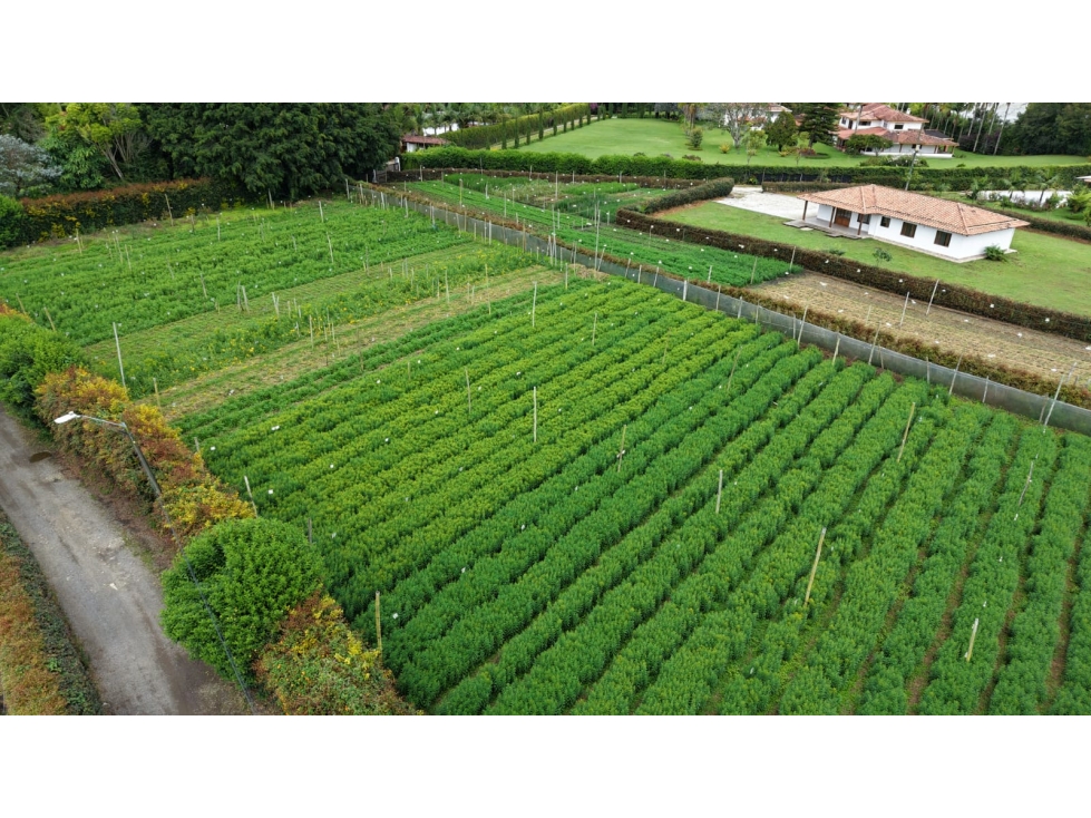Se vende lote ubicado en el municipio de Rionegro, Antioquia. — foto 4