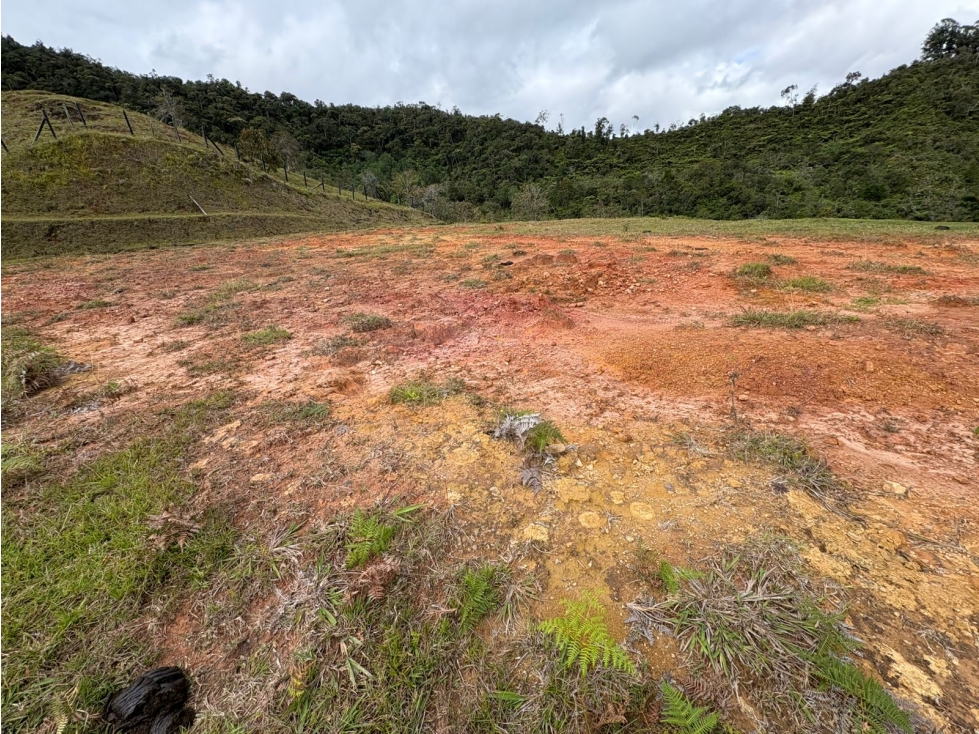 LOTE EN VENTA, EL PEÑOL, ANTIOQUIA. — foto 5