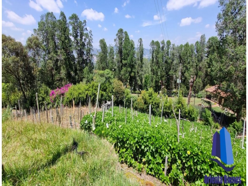 Lote ubicado en el Municipio de La Ceja Antioquia. — foto 6