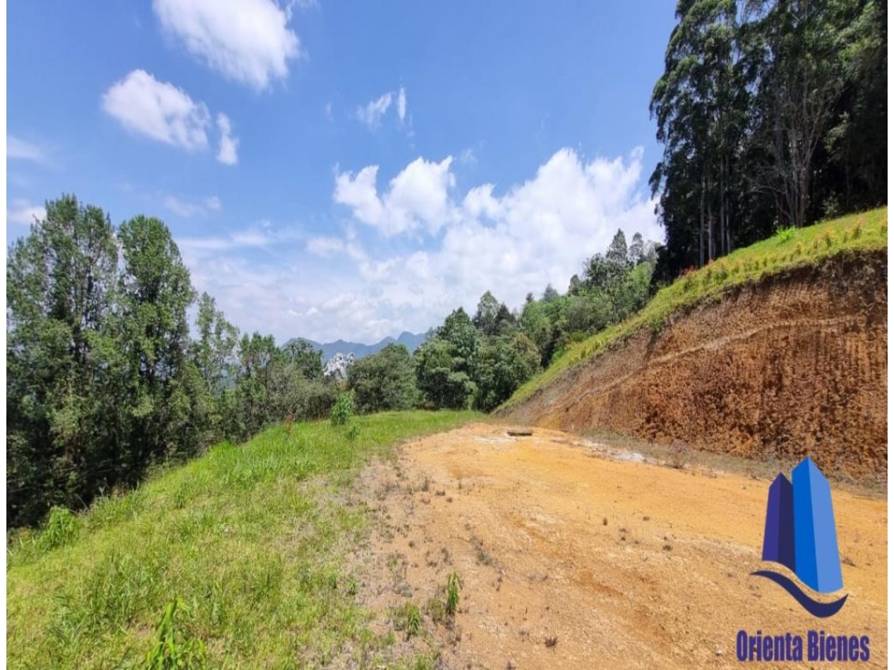 Lote ubicado en el Municipio de La Ceja Antioquia — foto 4