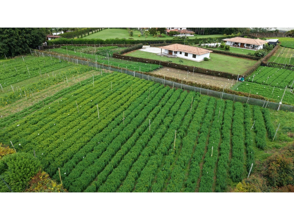 Se vende lote ubicado en el municipio de Rionegro, Antioquia. — foto 6