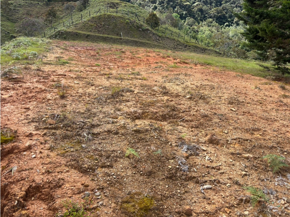 LOTE EN VENTA, EL PEÑOL, ANTIOQUIA. — foto 6