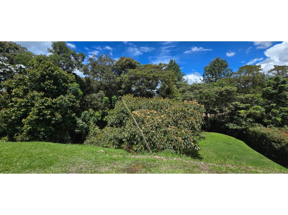 Lote ubicado en el municipio de La Ceja, Antioquia. — foto 6