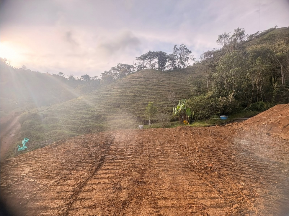 Se vende Lote ubicado en el municipio de La Ceja Antioquia. — foto 2