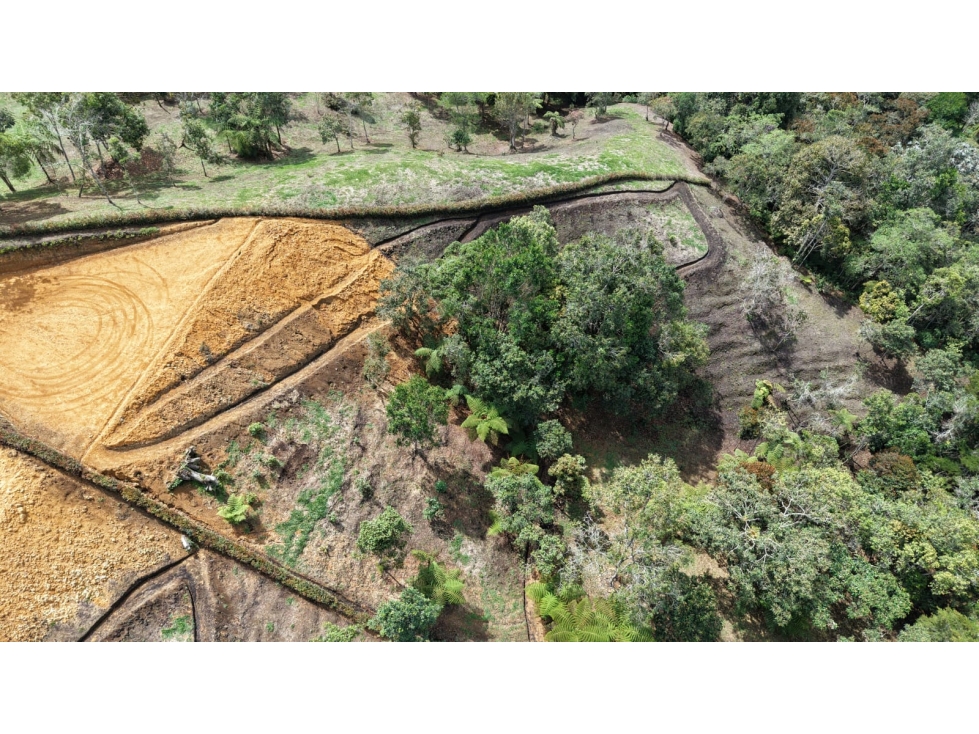 Lote ubicado en la vereda las lomitas, municipio de La Ceja, Antioquia — foto 4