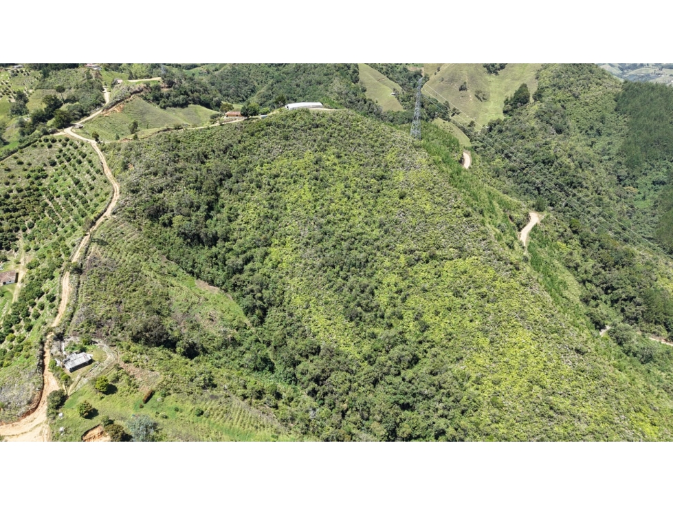 Se vende lote ubicado en el municipio de La Ceja, Antioquia. — foto 4