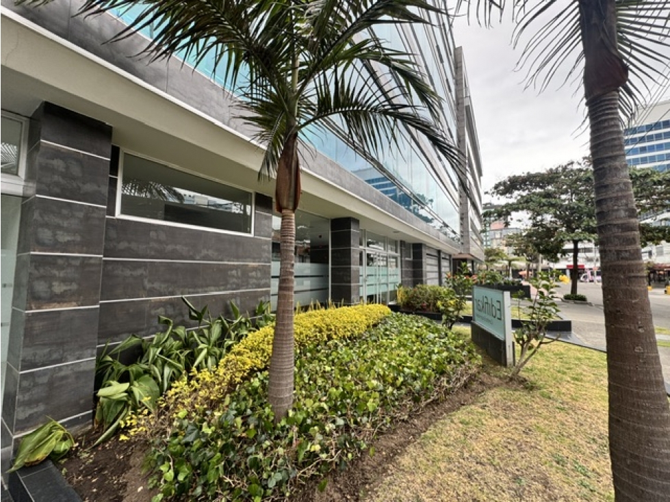 Arriendo Local Comercial Chico - 2