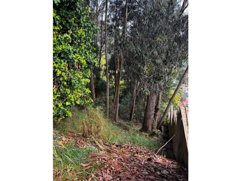 Vendo Lote en Bosque de Pinos — foto 4