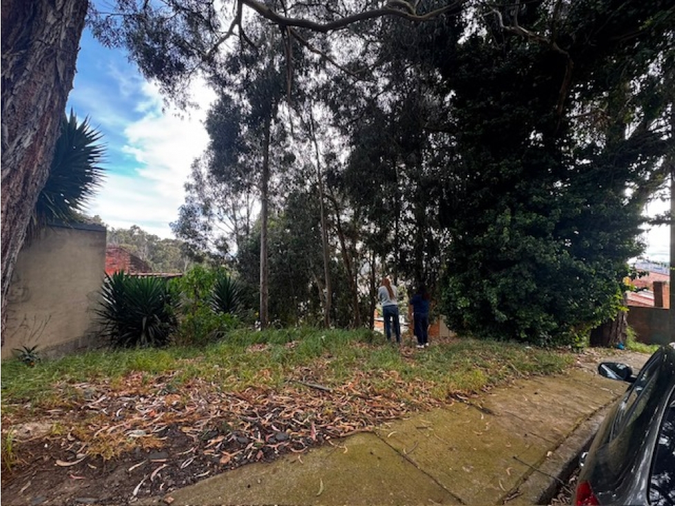 Vendo Lote en Bosque de Pinos