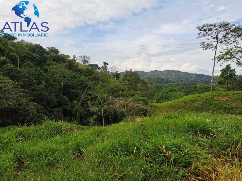 VENTA DE FINCA EN RIONEGRO SANTANDER COD:1146 - 5