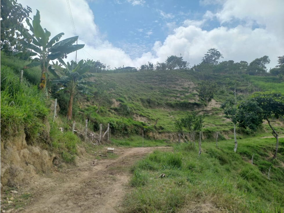 VENTA DE FINCA EN LEBRIJA SANTANDER COD:1083 - 3