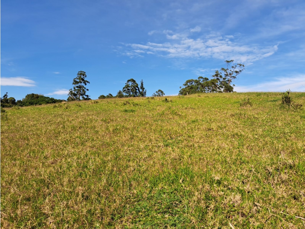 VENTA 7 HECTAREAS MESA DE LOS SANTOS MERCADO CAMPESINO COD:1109 - 3