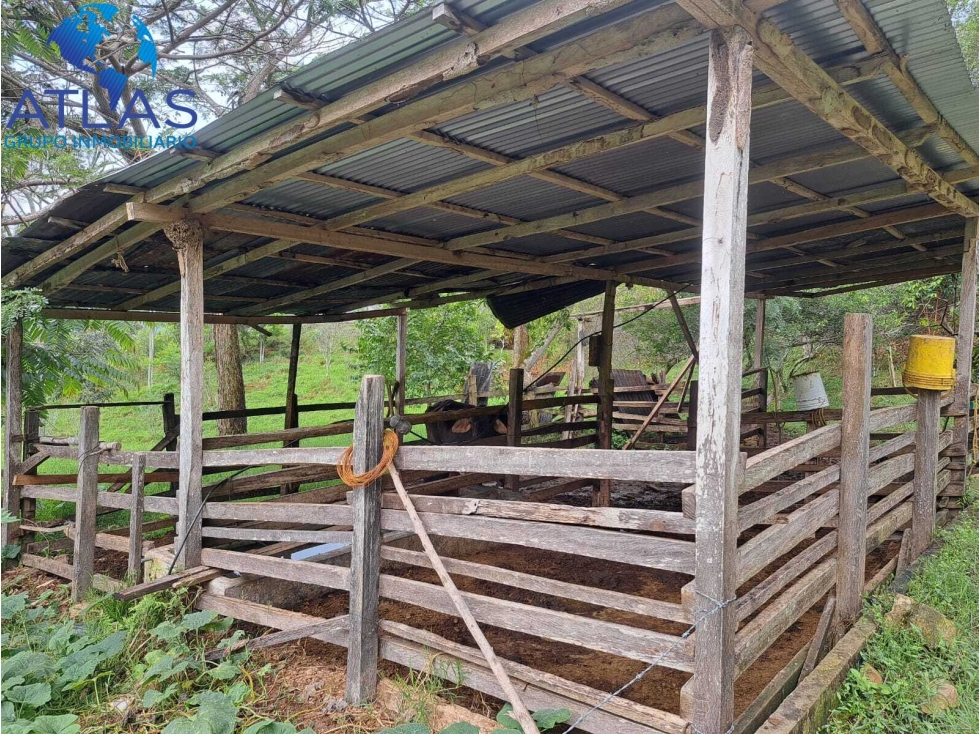 VENTA DE FINCA EN RIONEGRO SANTANDER COD:1146 - 4