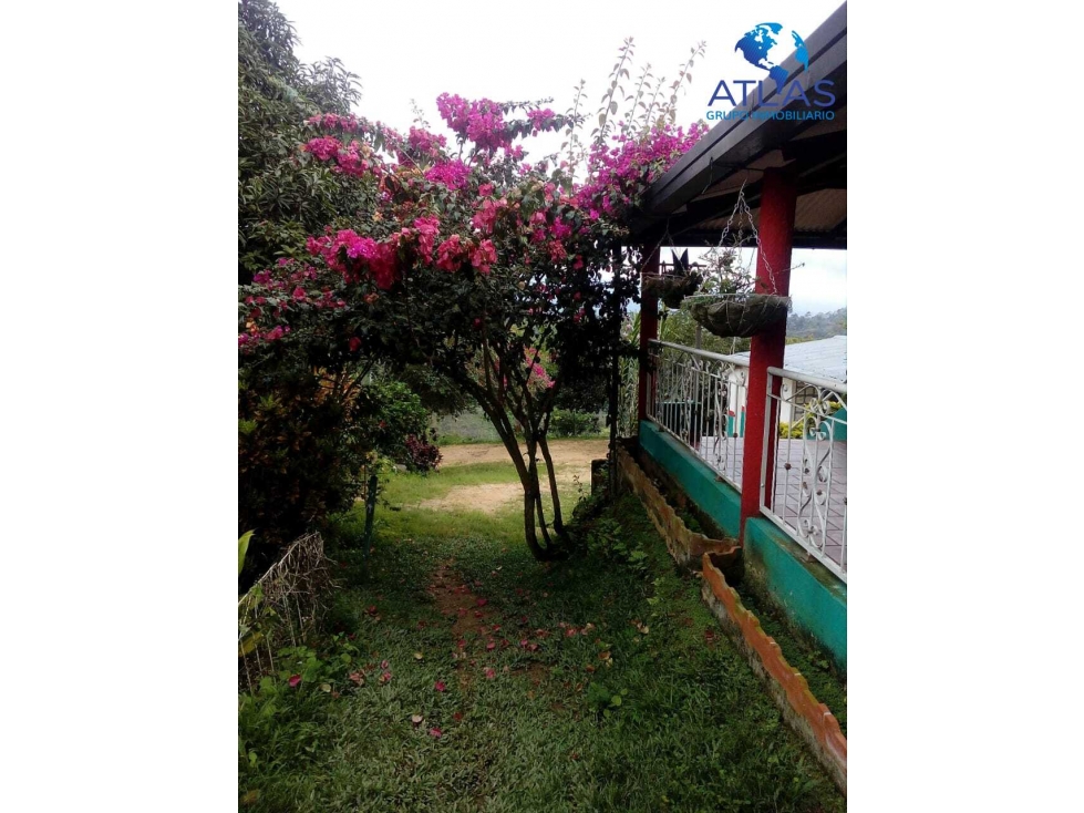 SE VENDE FINCA 5 HECTAREAS EN RIO NEGRO SANTANDER COD:742 - 5