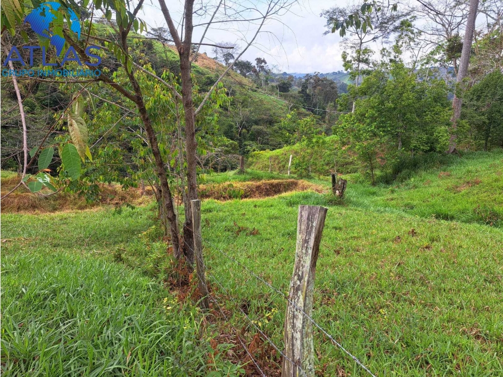 VENTA DE FINCA EN RIONEGRO SANTANDER COD:1146 - 2