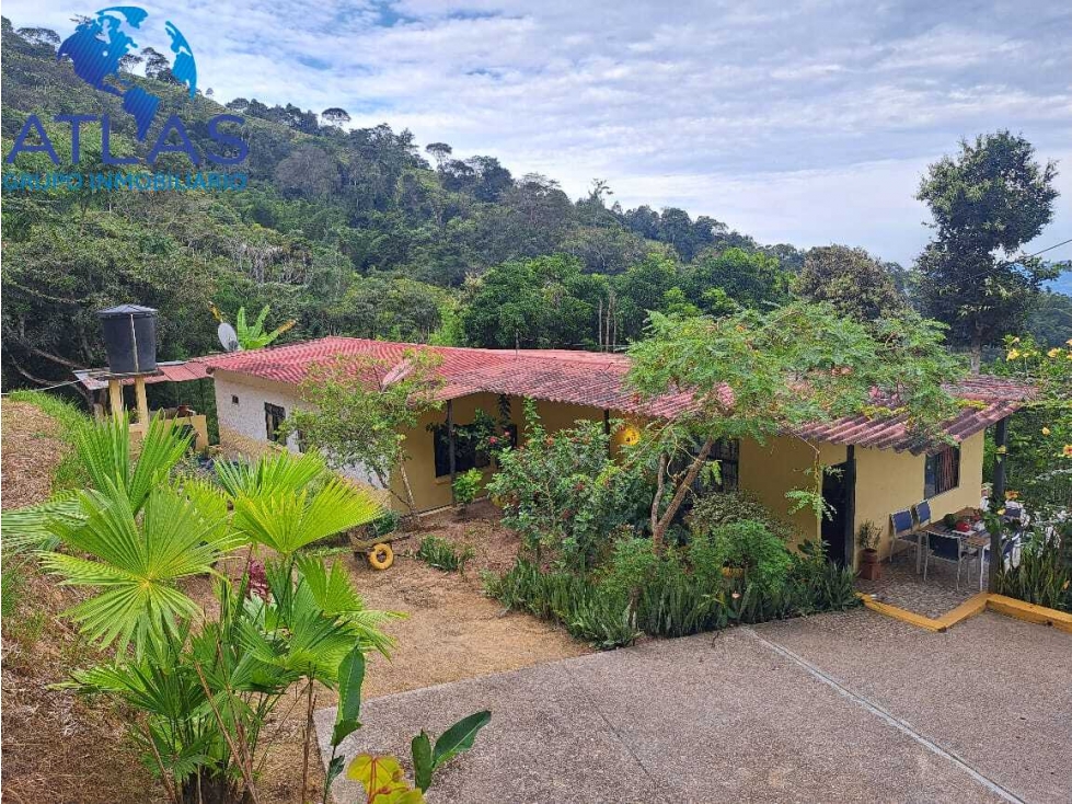 VENTA DE FINCA EN LEBRIJA SANTANDER COD:1147 - 1