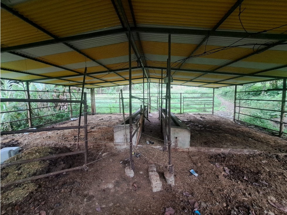 VENTA DE FINCA RIO NEGRO SANTANDER 10 HECTAREAS COD:1229 - 1