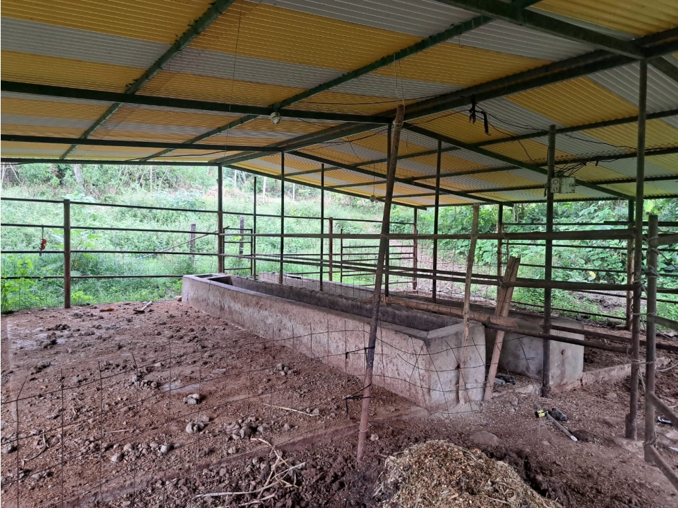 VENTA DE FINCA RIO NEGRO SANTANDER 10 HECTAREAS COD:1229 - 2