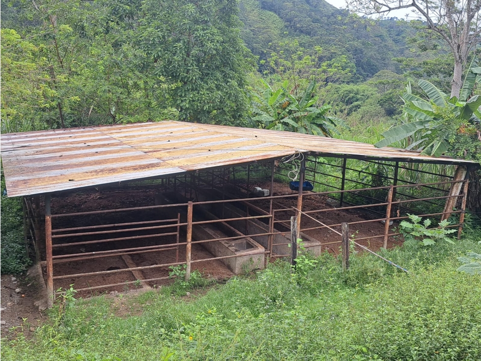 VENTA DE FINCA RIO NEGRO SANTANDER 10 HECTAREAS COD:1229 - 5
