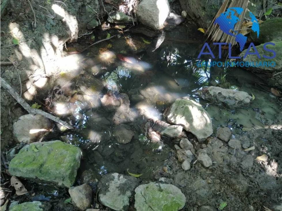 VENTA DE FINCA EN LEBRIJA /SANTANDER COD:829 - 3