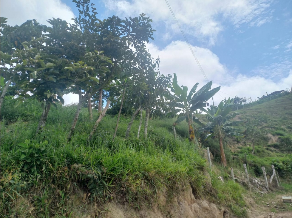 VENTA DE FINCA EN LEBRIJA SANTANDER COD:1083 - 4