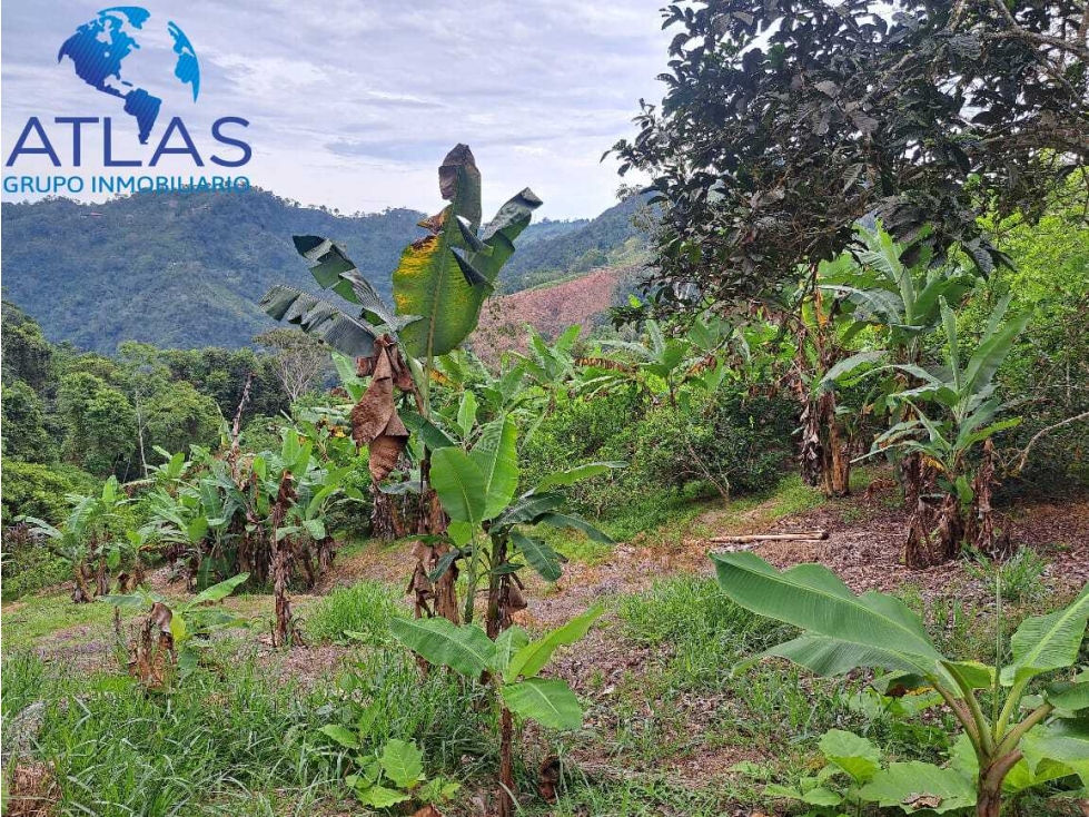 VENTA DE FINCA EN LEBRIJA SANTANDER COD:1147 - 4