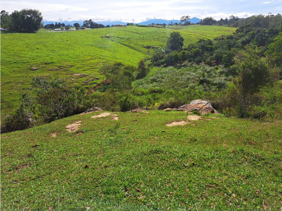 VENTA 7 HECTAREAS MESA DE LOS SANTOS MERCADO CAMPESINO COD:1109 - 2