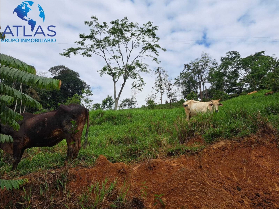 VENTA DE FINCA EN RIONEGRO SANTANDER COD:1146 - 3