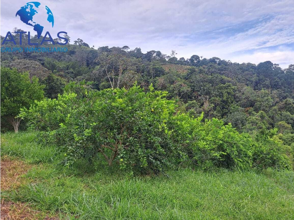VENTA DE FINCA EN LEBRIJA SANTANDER COD:1147 - 6