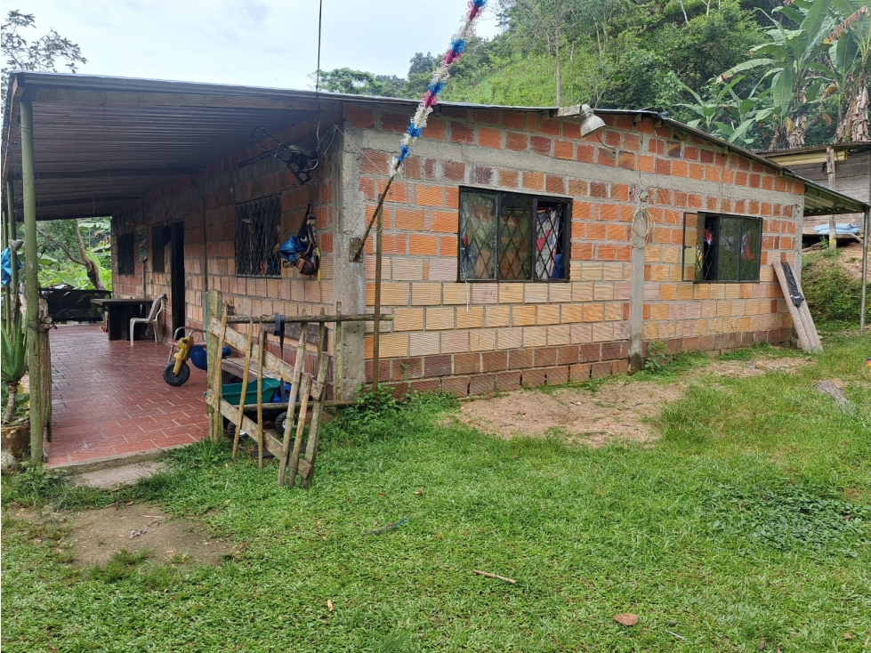 VENTA DE FINCA RIO NEGRO SANTANDER 10 HECTAREAS COD:1229 - 4