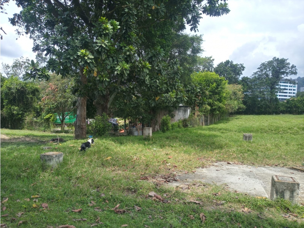 VENTA LOTE PROYECTO URBANISTICO MENZULY PIEDECUESTA 12.000 M2 COD:375 - 6