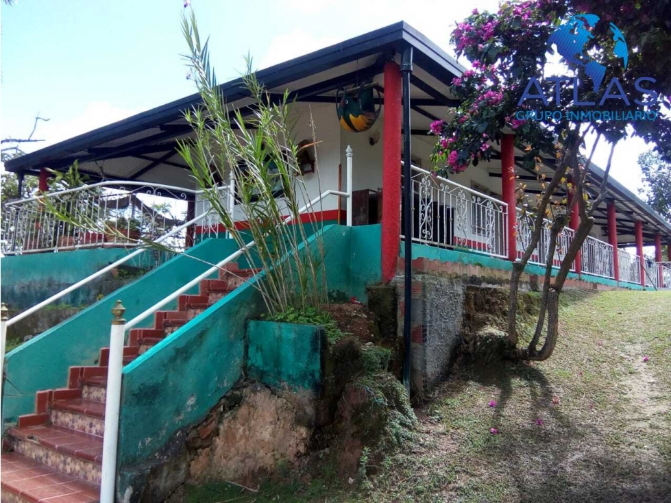 SE VENDE FINCA 5 HECTAREAS EN RIO NEGRO SANTANDER COD:742 - 1