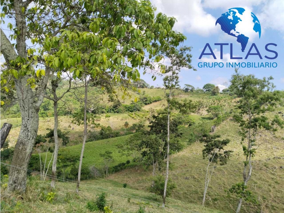 VENTA DE FINCA EN LEBRIJA /SANTANDER COD:829 - 1
