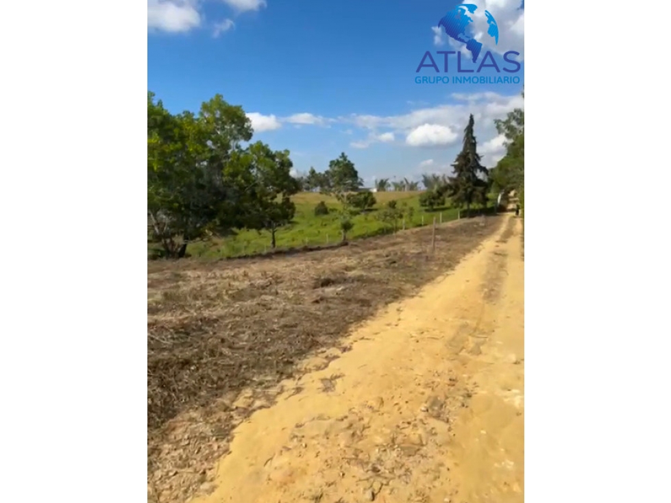 VENTA O PERMUTA LOTE MESA DE LOS SANTOS COD: 879 - 3