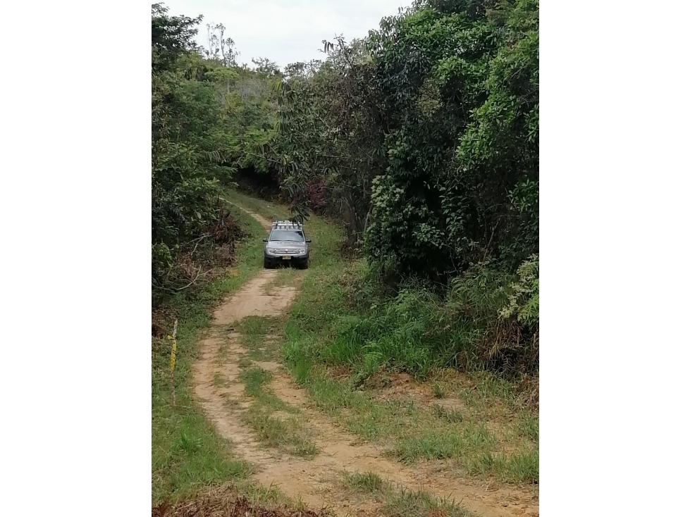 OPORTUNIDAD VENTA DE FINCA RIO NEGRO SANTANDER COD:1081 - 4