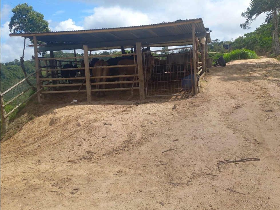 VENTA DE FINCA EN LEBRIJA SANTANDER COD:1083 - 6