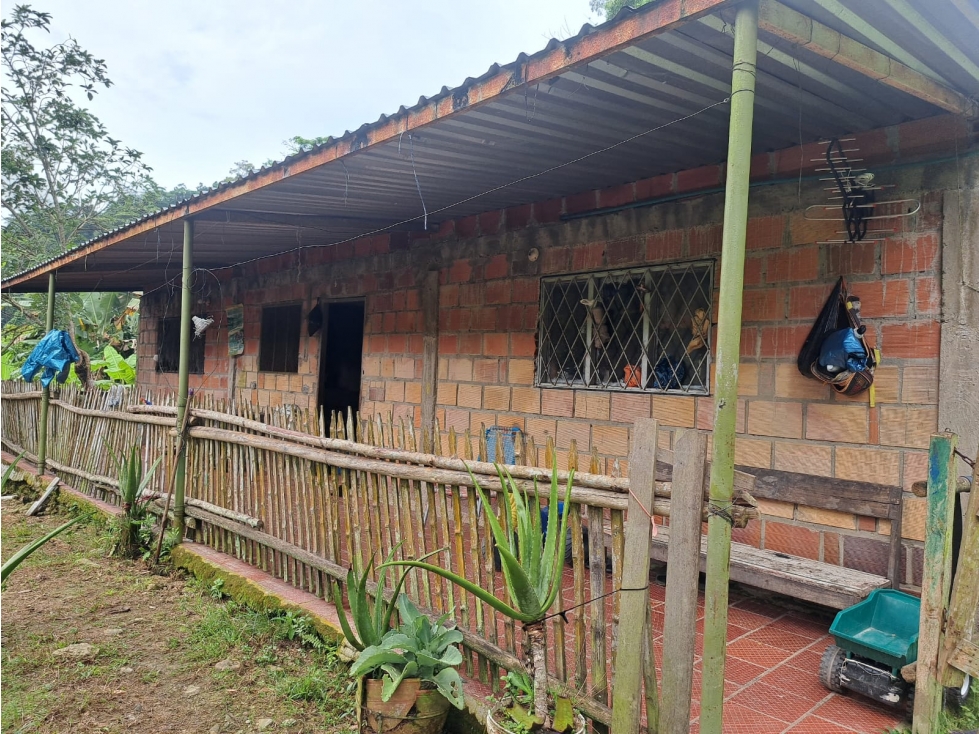 VENTA DE FINCA RIO NEGRO SANTANDER 10 HECTAREAS COD:1229 - 3
