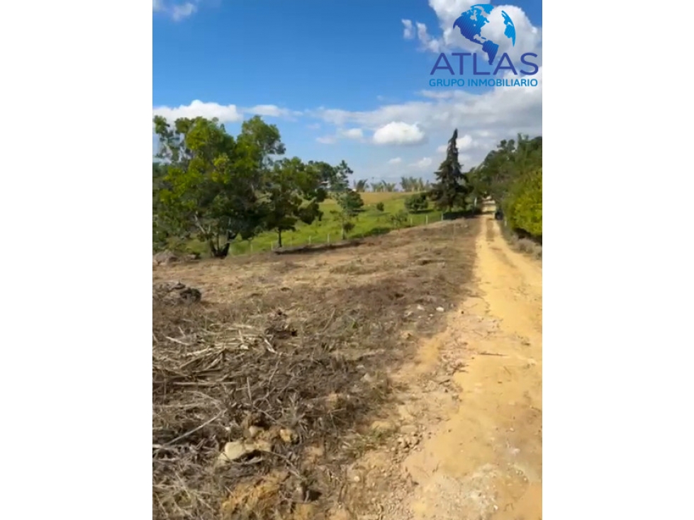 VENTA O PERMUTA LOTE MESA DE LOS SANTOS COD: 879 - 5