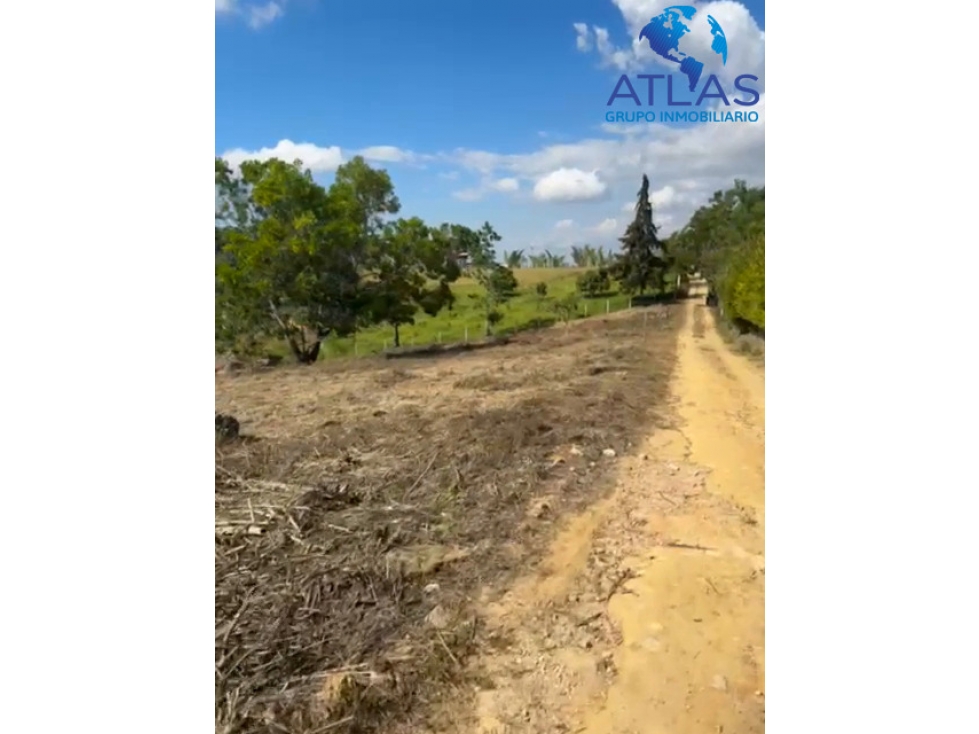 VENTA O PERMUTA LOTE MESA DE LOS SANTOS COD: 879 - 6