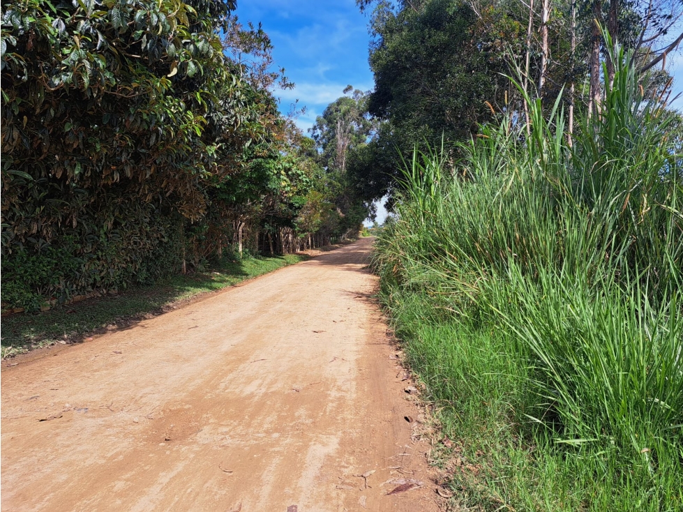 VENTA 7 HECTAREAS MESA DE LOS SANTOS MERCADO CAMPESINO COD:1109 - 6