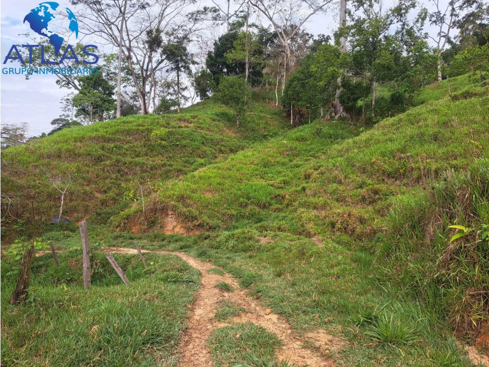 VENTA DE FINCA EN RIONEGRO SANTANDER COD:1146 - 6