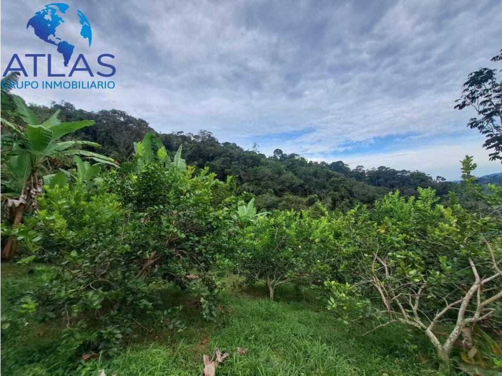VENTA DE FINCA EN LEBRIJA SANTANDER COD:1147 - 5