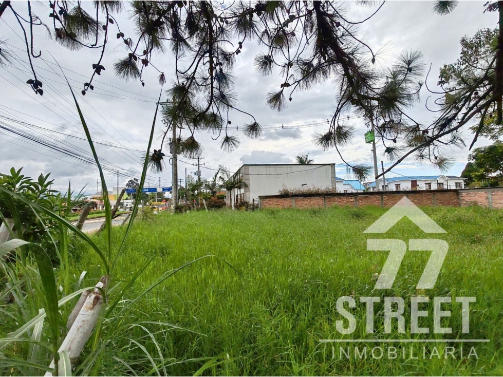 Lote por Terraplaza - 5
