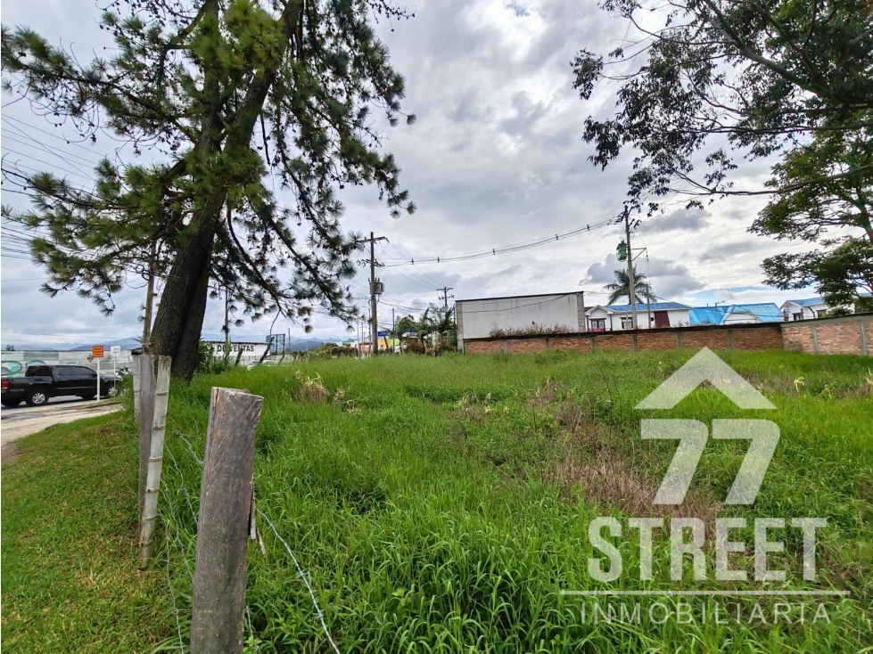 Lote por Terraplaza - 4