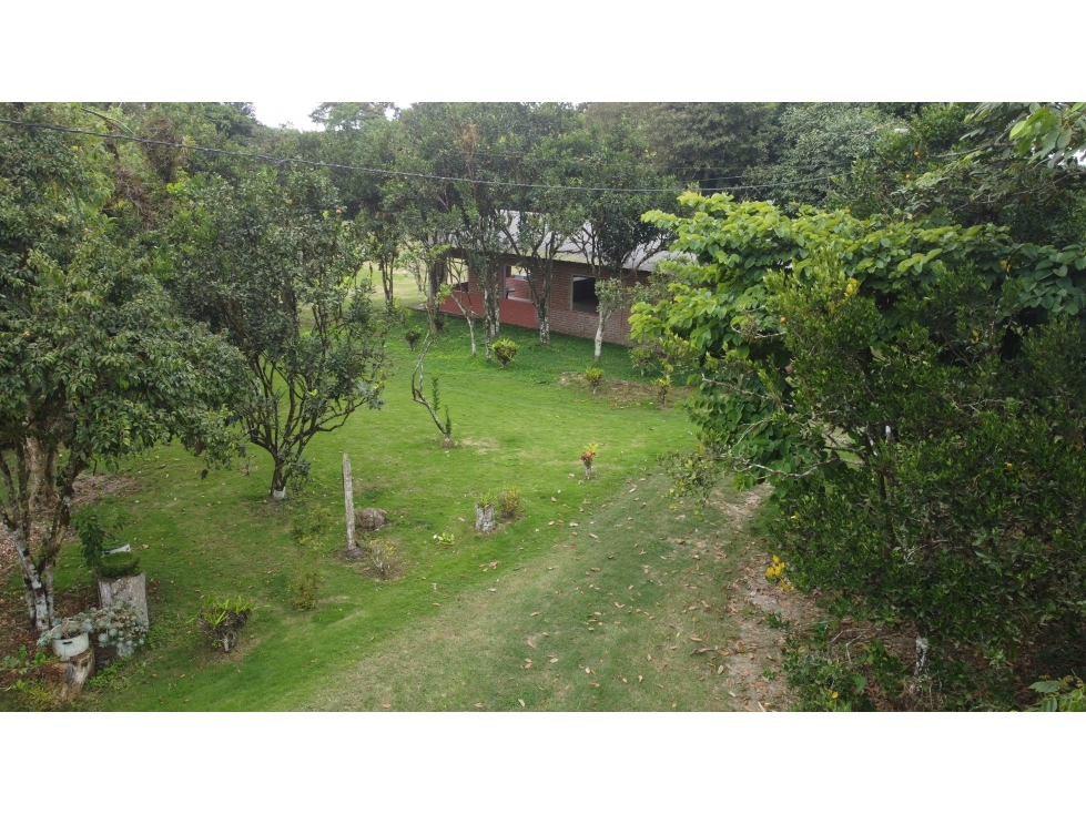 Se vende Quinta, Pacoche Manta! 3 hectáreas. - 2